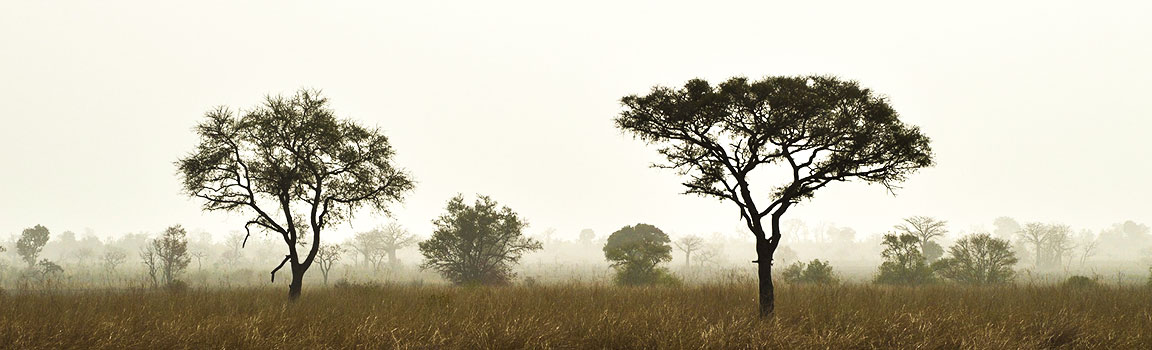Benin