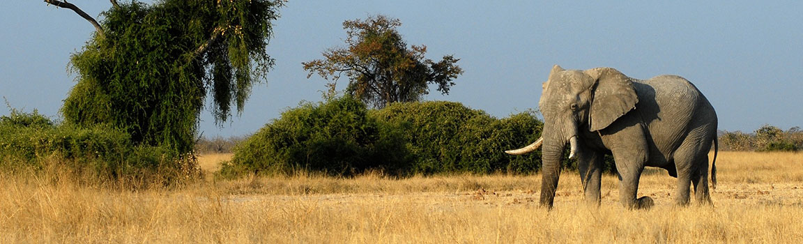Botswana
