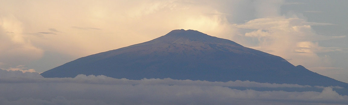 Camarões