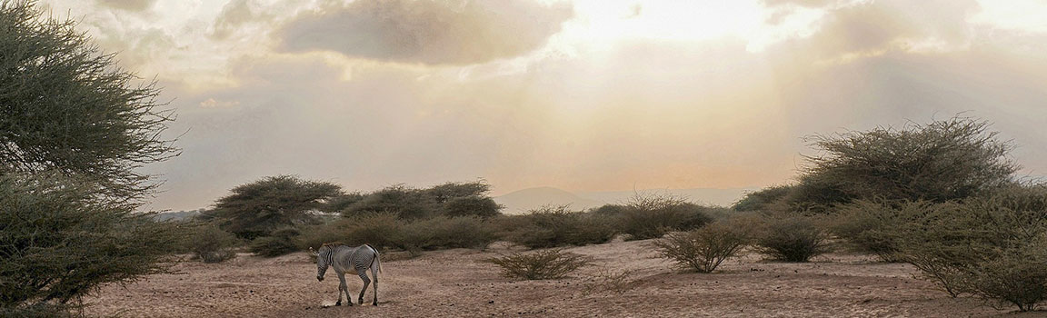Djibouti